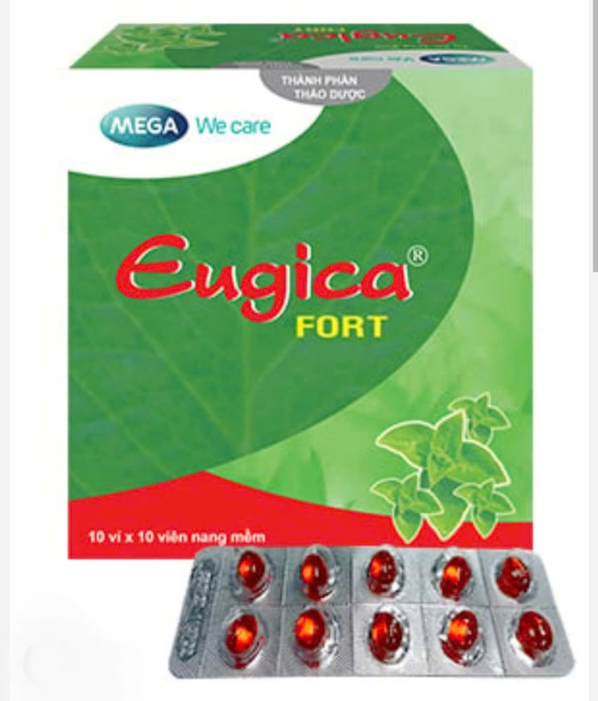 Eugica Fort DHG đỏ(PH)