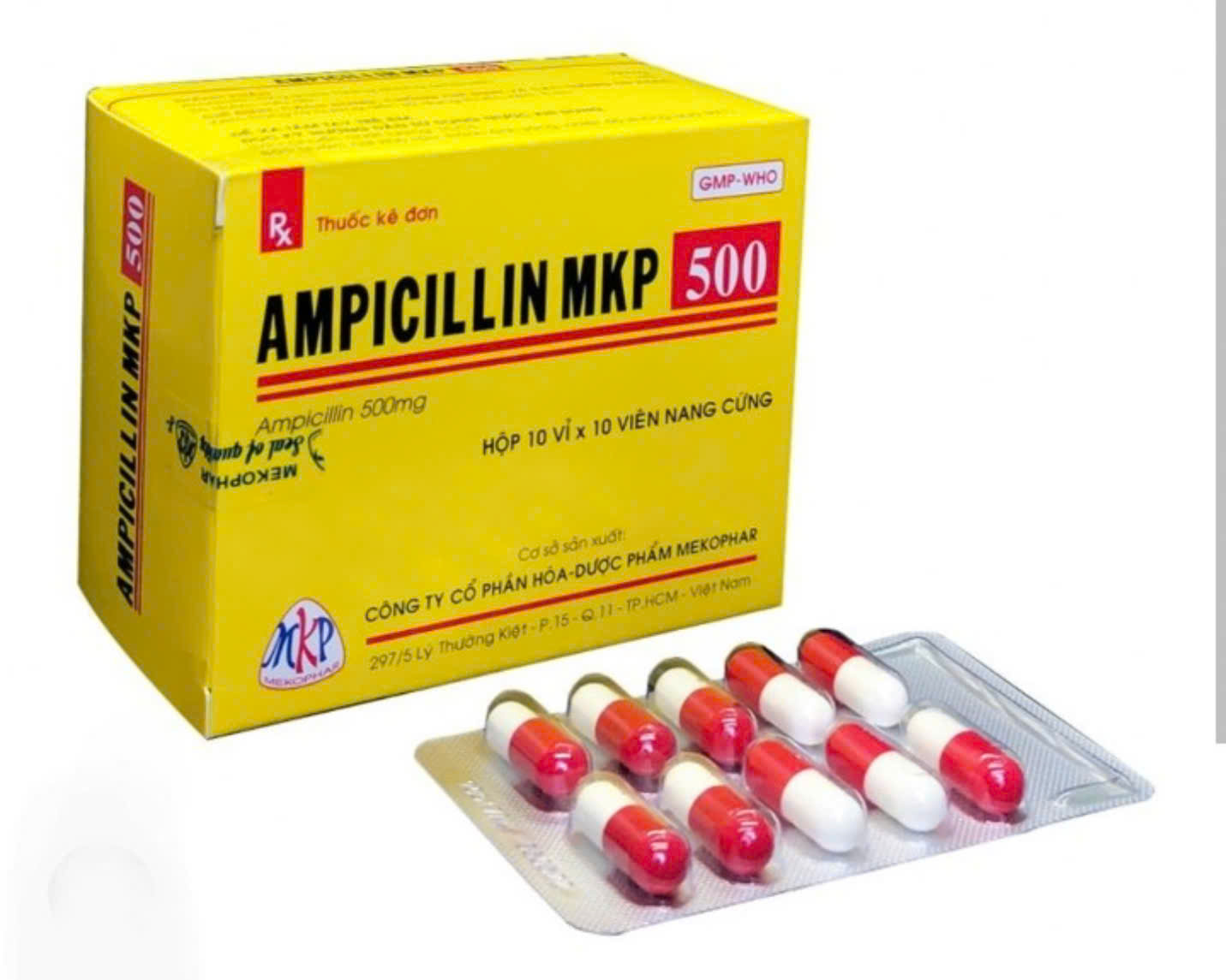 Ampicillin 500 MK(PH)