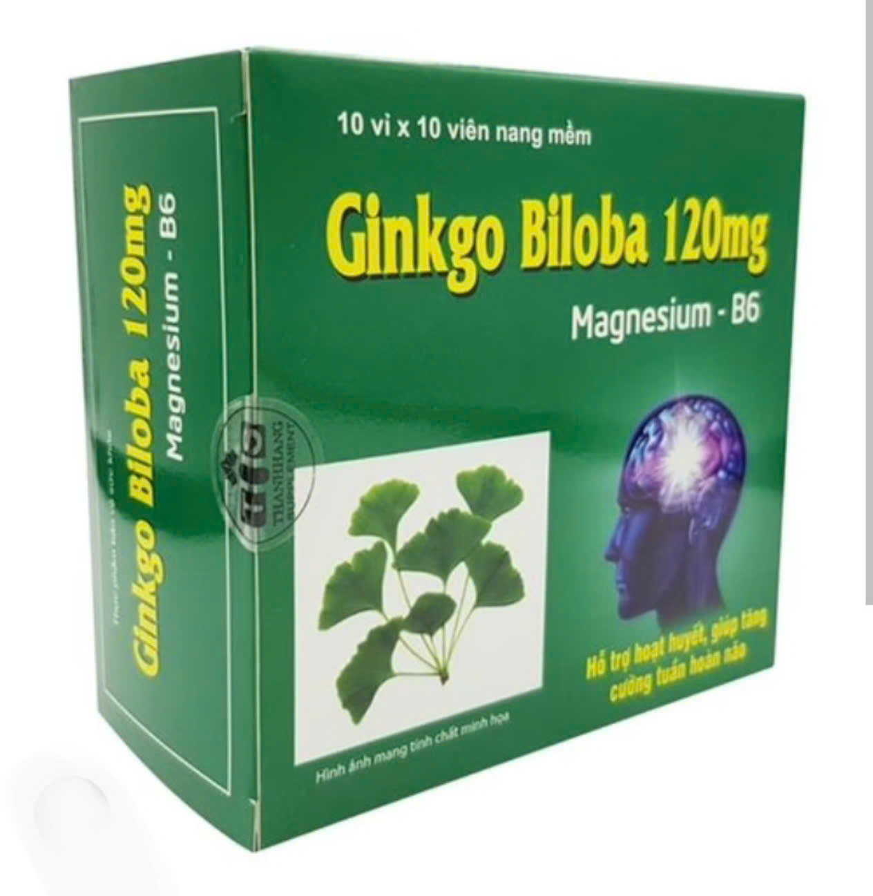 Ginkgo Biloba Thanh Hằng(PH)