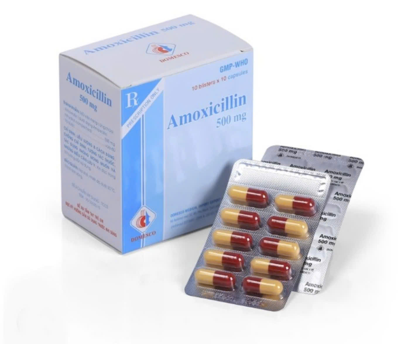 Amoxicillin 500 vỉ DMC(LM)