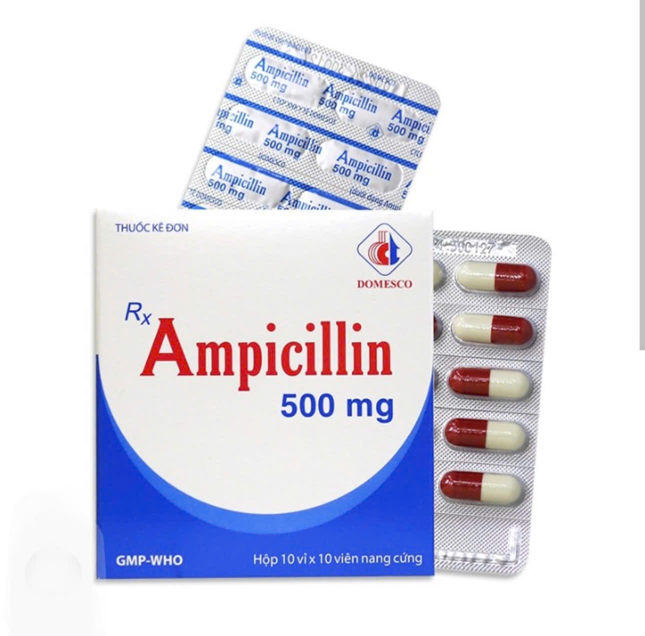 Ampicillin500 DCM(LM)