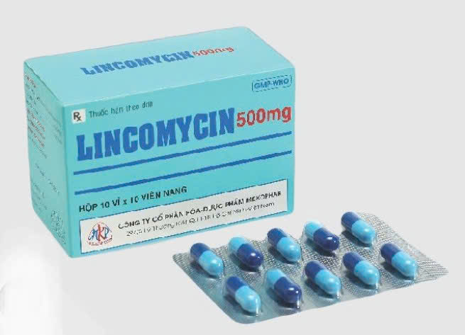 Lincomycin 500 Meko(LM)