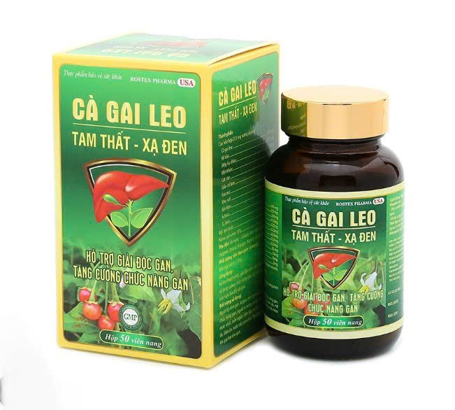 Cà Gai Leo  Tam Thất C50v(DP)