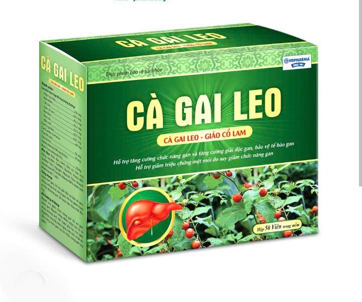 Cà Gai Leo Gold Tex vỉ(h50v)(DP)